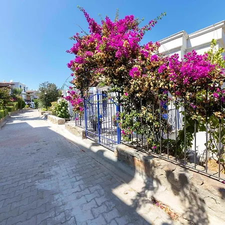 Lovely House With Astonishing View In Gumusluk Apartament Gümüşlük